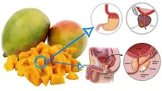 Mango Nutrition - Mango Vitamins - Mango Calories - Benefits Of Mango - Mango Fiber