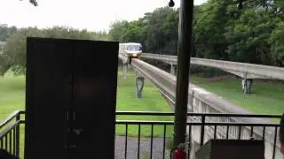 Disney World monorail vs. a squirrel