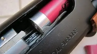 APS CAM870 Лучший пневматический дробовик