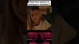 Животное пришло за помощью к человеку #short#shorts#фильм#ужасы