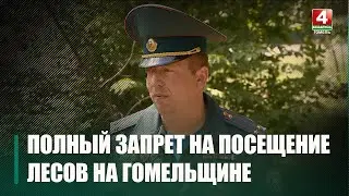 На Гомельщине введен полный запрет на посещение лесов
