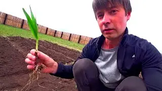 Посадили СУПЕР ОГОРОД 2020 / Экскурсия на супер огород мечты 2020