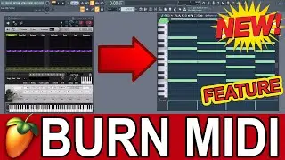 BURN MIDI -  Record Midi Output From Any Midi Generator (Chord / Scale VST) Into the Piano Roll