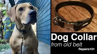 Make a QR DOG COLLAR from an Old Belt