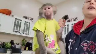 Всем доброе утро! кто с нами завтракать?🥰