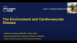 The Environment's Role in Cardiovascular Disease