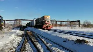 "Немец" Тепловоз ТЭМ2У-9199 ОТПРАВЛЯЕТСЯ С 4 Горветки С ДЛИННЫМ СОСТАВОМ.  ТЭМ2-5187
