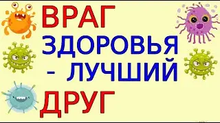 За наше здоровье борется враг. Триада жизни и здоровья во главе с вирусом Секреты долголетия часть 3