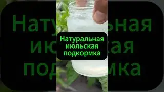 Натуральная июльская подкормка огорода  