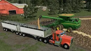 Lone Oak EP#1 | Harvest, Hay, Animal Care | FS19 Timelapse|Farming Simulator 19 Timelapse