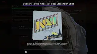 PGL Major 2021 stickers Viewers Pass No Autograph for all of new players