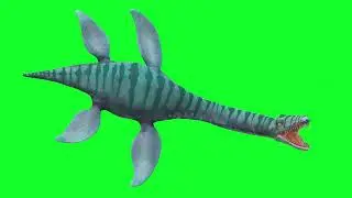 Green Screen | Chroma Key | Animal 4K | Plesiosaurus