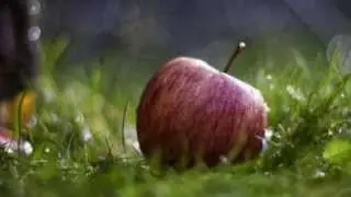 Oktoberlied