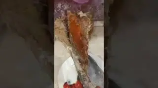 Что самоё вкусное в вобле ? #fishingvideo #рыбалка #мормышка #fishing #рыба #зима #вобла