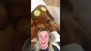 HOW TO FALL ASLEEP IN 2 MINUTES!😱