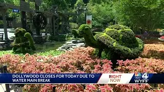 Dollywood closed for the day due to waster main break