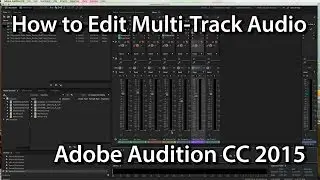 Adobe Audition CC 2015 Multi-Track Audio Editing