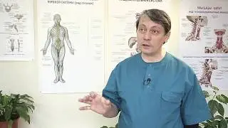 Правка атланта обучение - отзыв врача остеопата