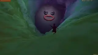 Meet the Clog