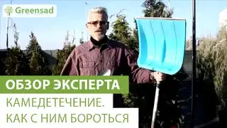 Какие бывают лопаты