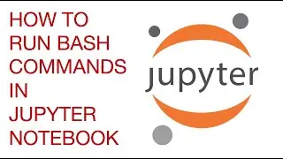 How to run bash commands in Jupyter notebook