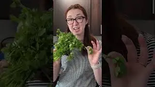 you should hate cilantro