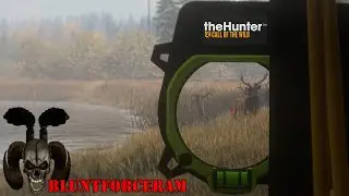 The Hunter Call of The Wild VS Hunting Simulator 2 + Mini Lodge Tour + Channel Update + Bow Hunt!