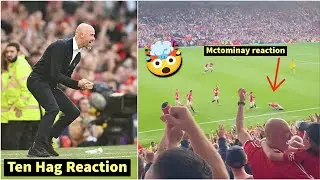 🤯Ten Hag & Fans Crazy reactions to Mctominay Last Minute winning goal vs Brentford