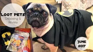 Loot Pets 