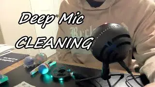 Happy Thanksgiving ASMR Plus Mic Cleaning