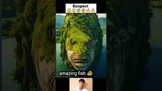 Respect 😱🤯🔥 || amazing for fish 🐠 #shorts