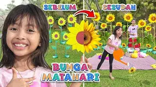 LEIKA BUAT TAMAN BUNGA MATAHARI BARENG TOMPEL 🌷🌻 LEIKA BUNGA MATAHARI VS TOMPEL SQUISHY