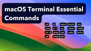 You need to learn these essential commands in macOS