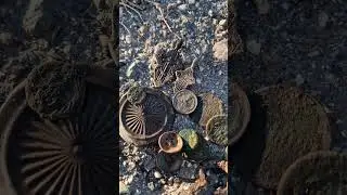 Древние находки в огороде