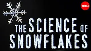 The science of snowflakes - Maruša Bradač