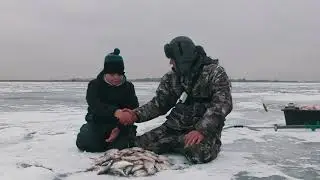 УДАЧНАЯ РЫБАЛКА. НАЛОВИЛИ ГУСТЕРЫ. Рыбалка в Астрахани.