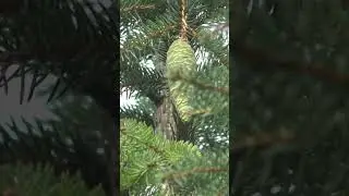 #как