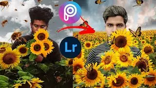 Sunflower Photo Editing || PicsArt photo editing || LKR Edits