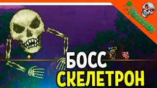 🩸 БОСС СКЕЛЕТРОН! ТЕРРАРИЯ ВОИН 2023 ☠️ Terraria Прохождение на русском