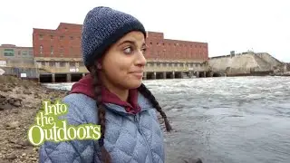 When A Dam Dies