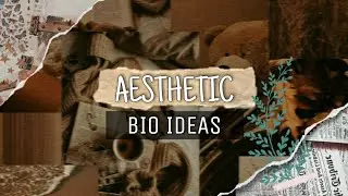 20+ Aesthetic Bio Ideas for Instagram | Aesthetic Bio Ideas 2023 🥂🦋✨