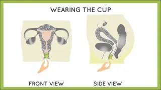 How to Insert a Menstrual Cup?  #menstrualcup