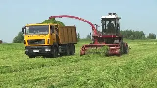 Уборка сенажа в СПК 