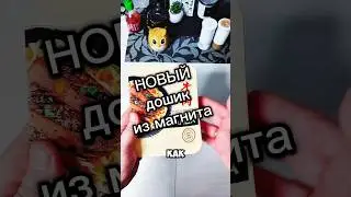 Новая лапша из магнита