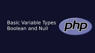 Basic Variable Types Boolean and Null | Web Development | The Quick Code