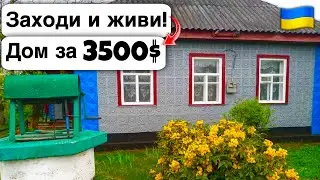 🇺🇦 Заходи и живи! Дом в селе за 3500$ Продажа недвижимости за копейки! Всё есть Уютное тихое село!