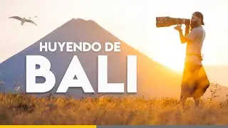 BALI es un infierno... Nos vamos a Java! 🌋