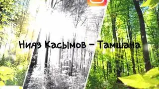 Нияз Касымов - Тамшана (текст)