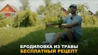БЕСПЛАТНОЕ УДОБРЕНИЕ ДЛЯ ОГОРОДА И САДА. Мой рецепт бродиловки из травы.
