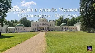 Вечеринка в усадьбе 